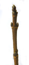 common maple (acer campestre), twig with opposite buds. 2009-01-26, Pentax W60. keywords: érable champêtre, acero campestre, oppio